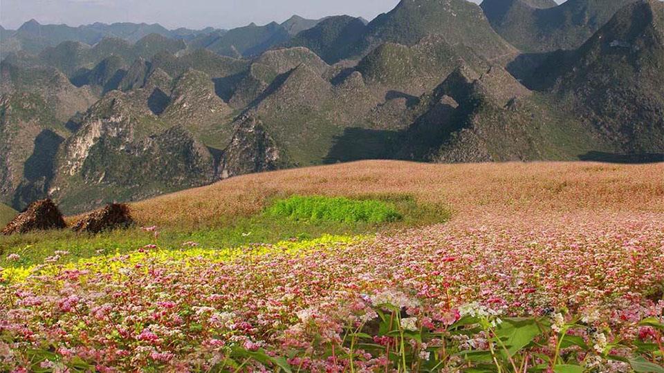 Việt Nam có thêm điểm được vinh danh "lý tưởng nhất châu Á": Cách Hà Nội 300km, báo quốc tế khen ngợi- Ảnh 14. Việt Nam có thêm điểm được vinh danh "lý tưởng nhất châu Á": Cách Hà Nội 300km, báo quốc tế khen ngợi- Ảnh 14.