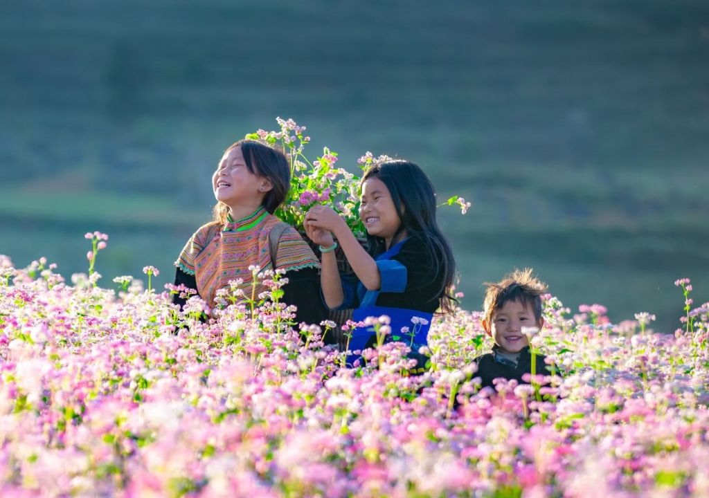 Việt Nam có thêm điểm được vinh danh "lý tưởng nhất châu Á": Cách Hà Nội 300km, báo quốc tế khen ngợi- Ảnh 11. Việt Nam có thêm điểm được vinh danh "lý tưởng nhất châu Á": Cách Hà Nội 300km, báo quốc tế khen ngợi- Ảnh 11.