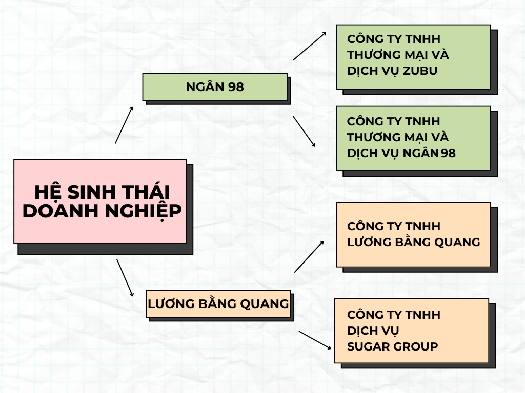 &ldquo;Cỗ m&aacute;y in tiền&rdquo; sau lưng Ng&acirc;n 98 v&agrave; Lương Bằng Quang- Ảnh 1.