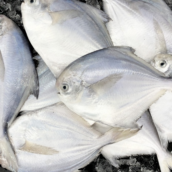 Không phải lươn hay chạch, 3 loại cá nên ăn nhiều vào mùa lạnh: Thịt nhiều ít xương, dễ tiêu và ngon quên lối về- Ảnh 7.