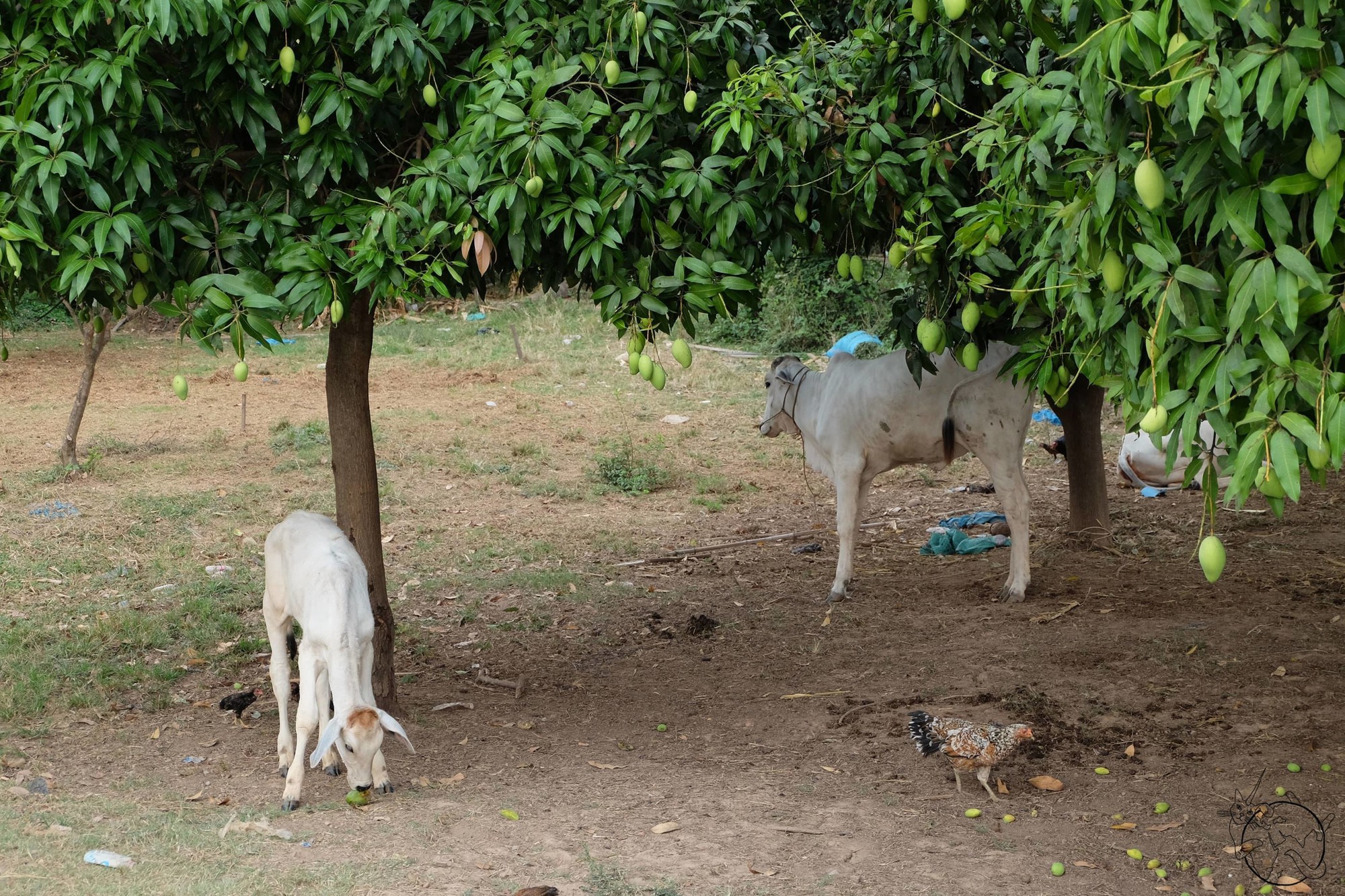 Sự thật khủng khiếp về  Sự thật khủng khiếp về