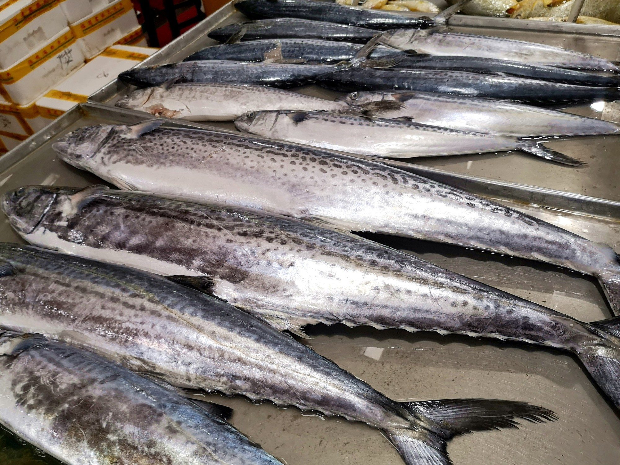 Không phải lươn hay chạch, 3 loại cá nên ăn nhiều vào mùa lạnh: Thịt nhiều ít xương, dễ tiêu và ngon quên lối về- Ảnh 1.