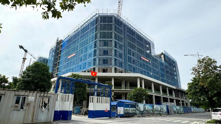 Nhà ở xã hội Đông Anh: Chủ đầu tư dựng nhà bạt cho dân xếp hàng nộp hồ sơ- Ảnh 10.