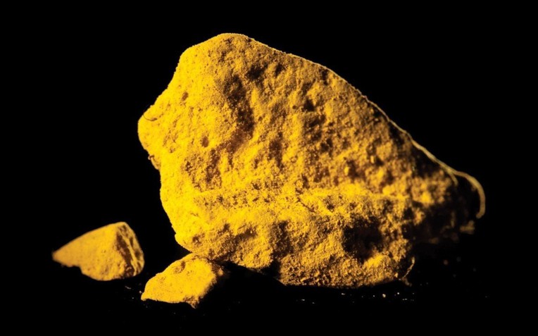 Sự thật khủng khiếp về  Sự thật khủng khiếp về