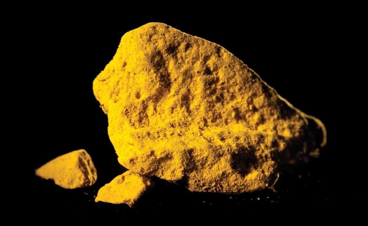 Sự thật khủng khiếp về  Sự thật khủng khiếp về