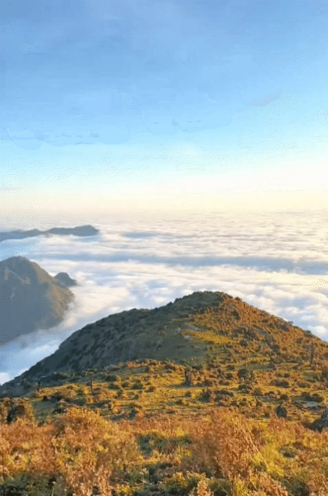 Chinh phục "thiên đường mây" Tà Chì Nhù mùa hoa chi pâu, chiêm ngưỡng vẻ đẹp tinh khôi của núi rừng Tây Bắc- Ảnh 1. Chinh phục "thiên đường mây" Tà Chì Nhù mùa hoa chi pâu, chiêm ngưỡng vẻ đẹp tinh khôi của núi rừng Tây Bắc- Ảnh 1.