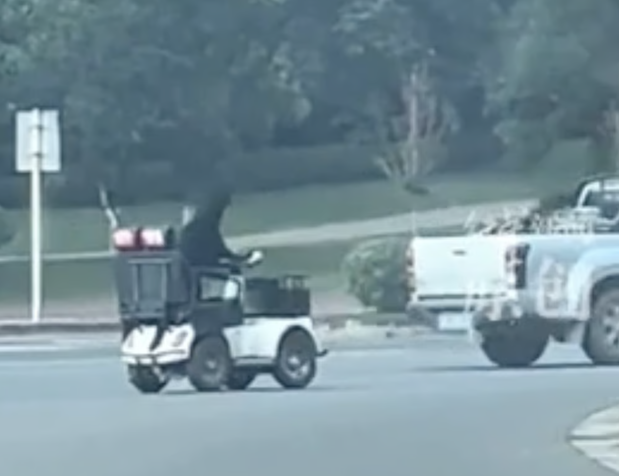 Trung Quốc: Chú chó “biết lái xe”, trượt ván, đổ rác gây sốt MXH, cảnh sát phải can thiệp vì lý do an toàn- Ảnh 1. Trung Quốc: Chú chó “biết lái xe”, trượt ván, đổ rác gây sốt MXH, cảnh sát phải can thiệp vì lý do an toàn- Ảnh 1.