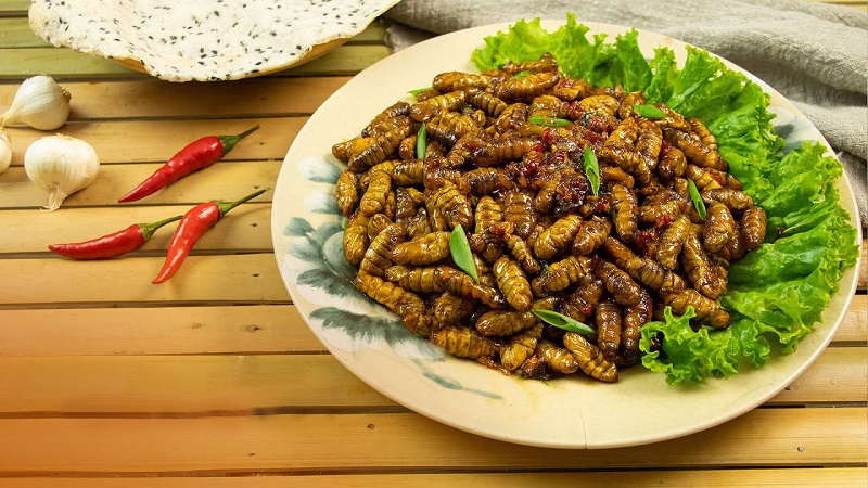 Chinh phục "thiên đường mây" Tà Chì Nhù mùa hoa chi pâu, chiêm ngưỡng vẻ đẹp tinh khôi của núi rừng Tây Bắc- Ảnh 8. Chinh phục "thiên đường mây" Tà Chì Nhù mùa hoa chi pâu, chiêm ngưỡng vẻ đẹp tinh khôi của núi rừng Tây Bắc- Ảnh 8.