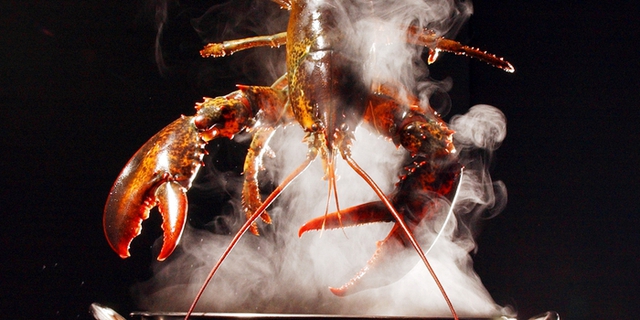 Vì sao pháp luật Thuỵ Sĩ cấm thả tôm hùm sống vào nước sôi?- Ảnh 4.