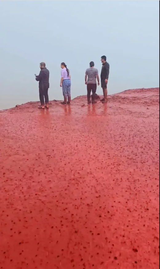 Sau trận mưa kỳ lạ, bãi biển bất ngờ nhuộm đỏ như máu, cơ quan lữ hành nói: Liên quan tới tên gọi nơi này- Ảnh 2. Sau trận mưa kỳ lạ, bãi biển bất ngờ nhuộm đỏ như máu, cơ quan lữ hành nói: Liên quan tới tên gọi nơi này- Ảnh 2.