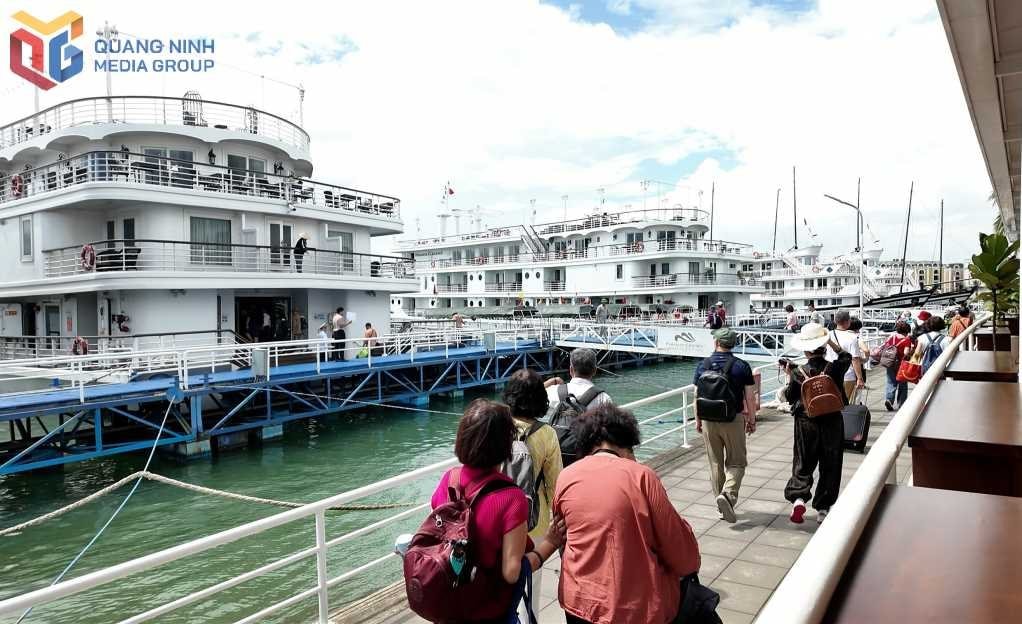 Quảng Ninh: Một ngành kinh tế đang bùng nổ, Trung Quốc là thị trường cực quan trọng, tăng trưởng 3 chữ số- Ảnh 2. Quảng Ninh: Một ngành kinh tế đang bùng nổ, Trung Quốc là thị trường cực quan trọng, tăng trưởng 3 chữ số- Ảnh 2.