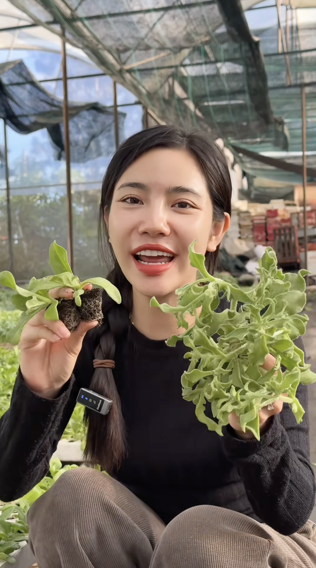 Sự thật về rau xà lách giá 300k/kg, vị mặn như muối đang được săn lùng nhất Việt Nam- Ảnh 6.