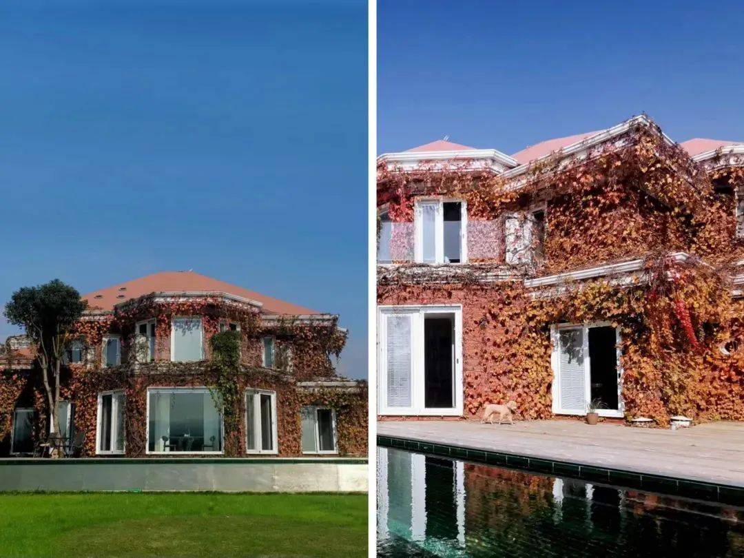 Nam nghệ sĩ 70 tuổi xây biệt thự 1.200m2 cùng vợ dưỡng già: Không sống cùng con cháu, không nghỉ hưu vẫn hài lòng- Ảnh 2. Nam nghệ sĩ 70 tuổi xây biệt thự 1.200m2 cùng vợ dưỡng già: Không sống cùng con cháu, không nghỉ hưu vẫn hài lòng- Ảnh 2.