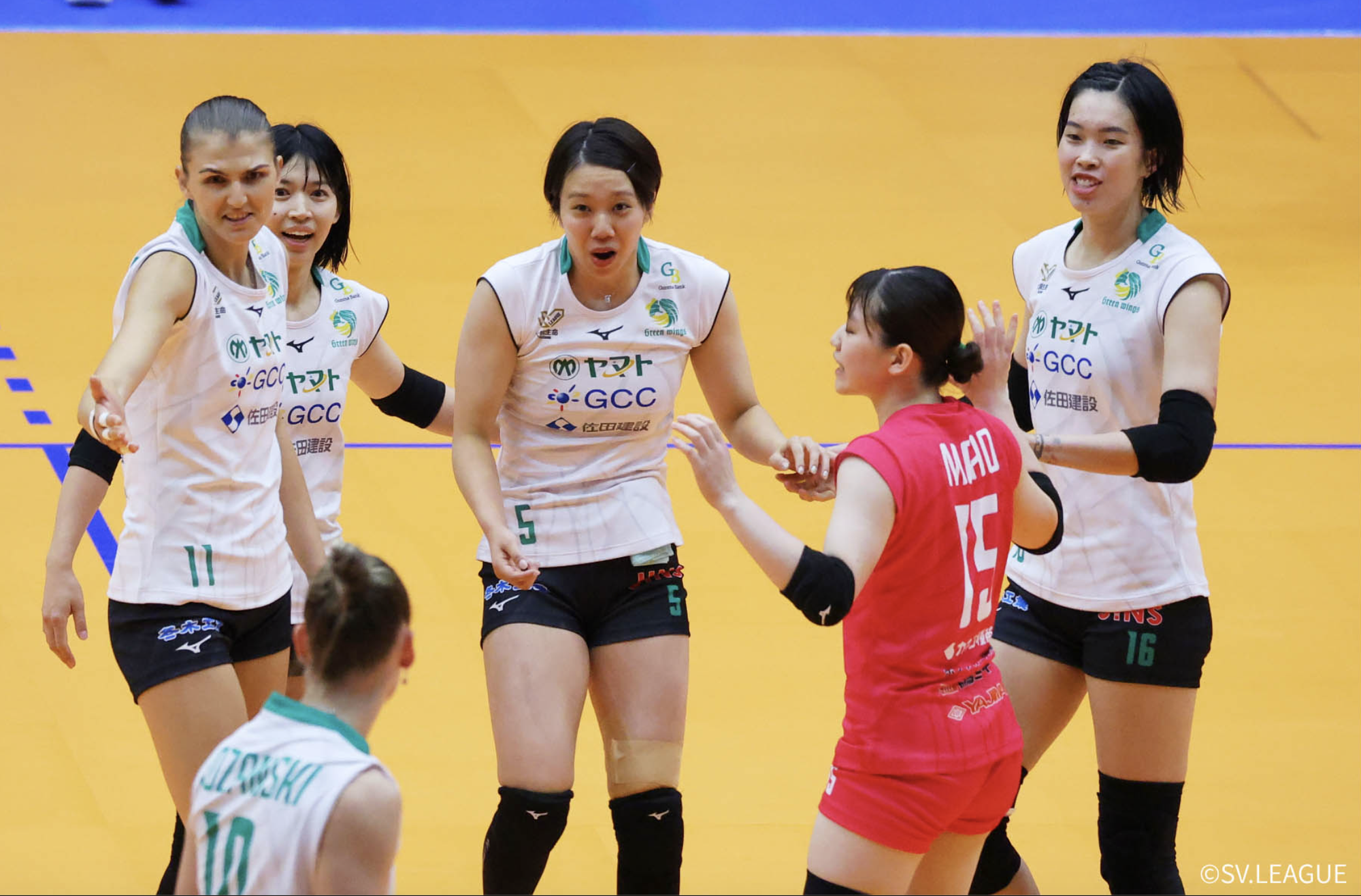 Trần Thị Thanh Thúy tỏa sáng tại giải bóng chuyền Nhật Bản- Ảnh 3. Trần Thị Thanh Thúy tỏa sáng tại giải bóng chuyền Nhật Bản- Ảnh 3.