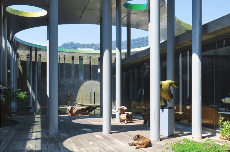 Doanh nhân U65 chi 185 tỷ đồng mua mảnh đất 22.000m2 xây biệt phủ nghỉ hưu, dưỡng già: "Vừa nhìn đã muốn gắn bó cả đời"- Ảnh 2. Doanh nhân U65 chi 185 tỷ đồng mua mảnh đất 22.000m2 xây biệt phủ nghỉ hưu, dưỡng già: "Vừa nhìn đã muốn gắn bó cả đời"- Ảnh 2.