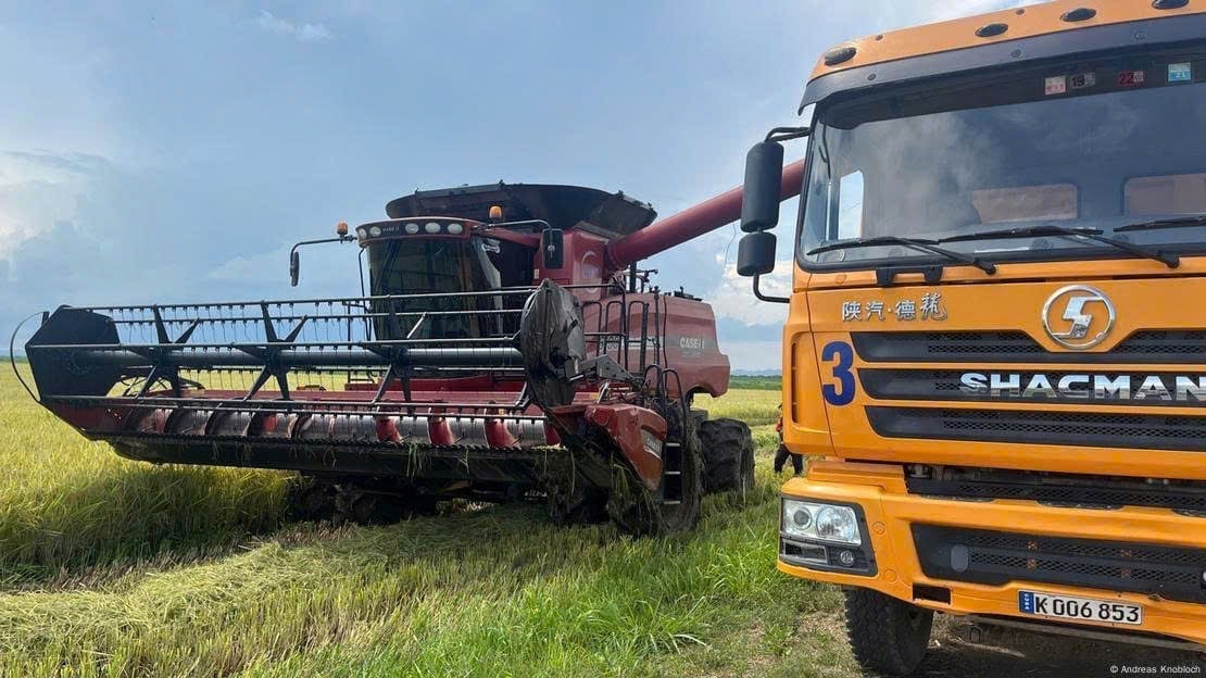 Giống l&uacute;a CT16 &ldquo;Made in Việt Nam&rdquo; đang g&acirc;y b&atilde;o tại Cuba: V&igrave; sao được lựa chọn trồng?- Ảnh 1.