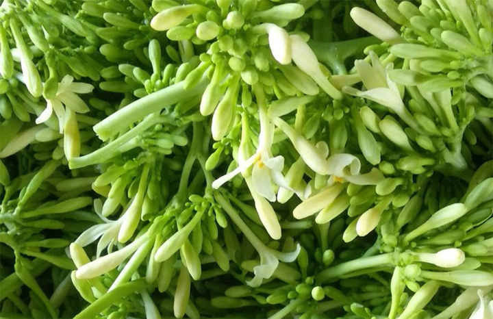 Cách ngâm hoa đu đủ đực với mật ong để trị ho, viêm họng- Ảnh 2.