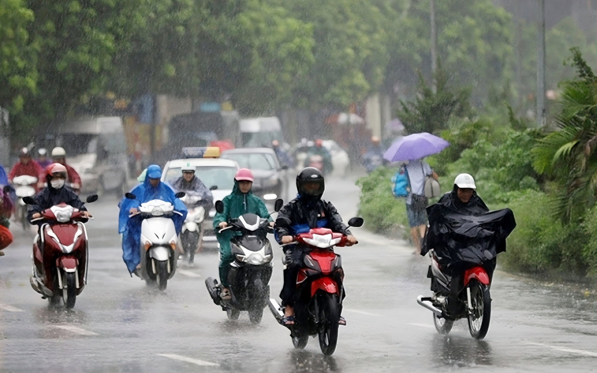 Tin gió mùa đông bắc mới nhất: Ngày mai, nhiều nơi tiếp tục mưa to đến rất to- Ảnh 1. Tin gió mùa đông bắc mới nhất: Ngày mai, nhiều nơi tiếp tục mưa to đến rất to- Ảnh 1.