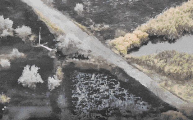 Dzen: Iskander n&atilde; thẳng điểm tập kết h&agrave;ng trăm &ldquo;qu&acirc;n NATO&rdquo; &ndash; &Ocirc;ng Putin tung ra 1 sắc lệnh "thay đổi mọi thứ"- Ảnh 5.