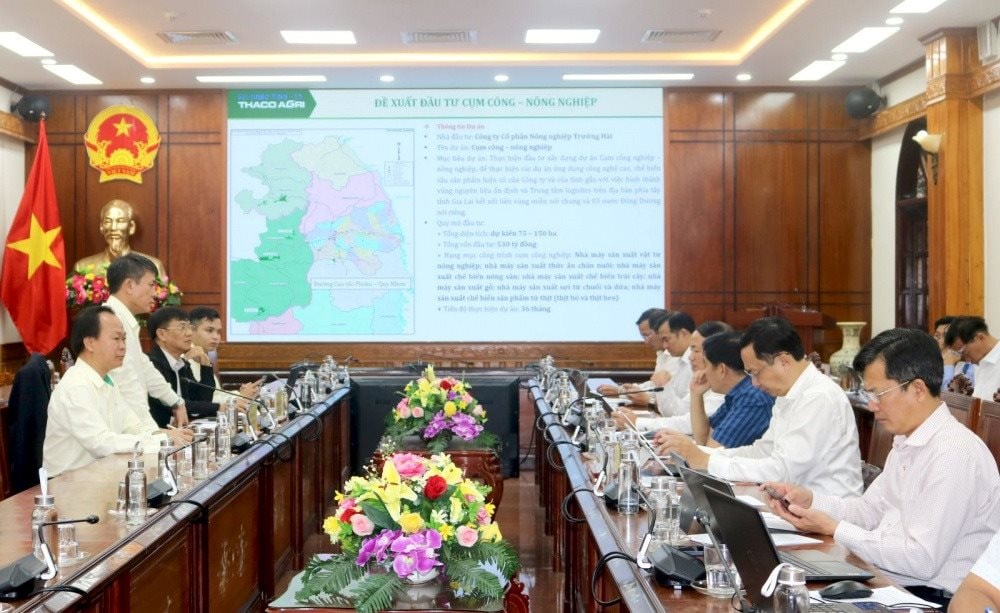 Chủ tịch tỉnh Gia Lai giao nhiệm vụ THACO nghiên cứu phát triển kinh tế khu vực Cửa khẩu Quốc tế Lệ Thanh, đẩy mạnh xuất khẩu sang Campuchia- Ảnh 1. Chủ tịch tỉnh Gia Lai giao nhiệm vụ THACO nghiên cứu phát triển kinh tế khu vực Cửa khẩu Quốc tế Lệ Thanh, đẩy mạnh xuất khẩu sang Campuchia- Ảnh 1.