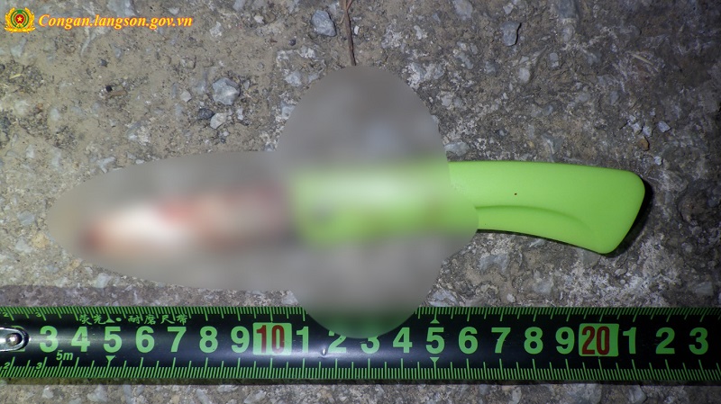 Lạnh người lời khai ban đầu của 4 đối tượng người Trung Quốc sát hại lái xe taxi ở Lạng Sơn- Ảnh 2. Lạnh người lời khai ban đầu của 4 đối tượng người Trung Quốc sát hại lái xe taxi ở Lạng Sơn- Ảnh 2.