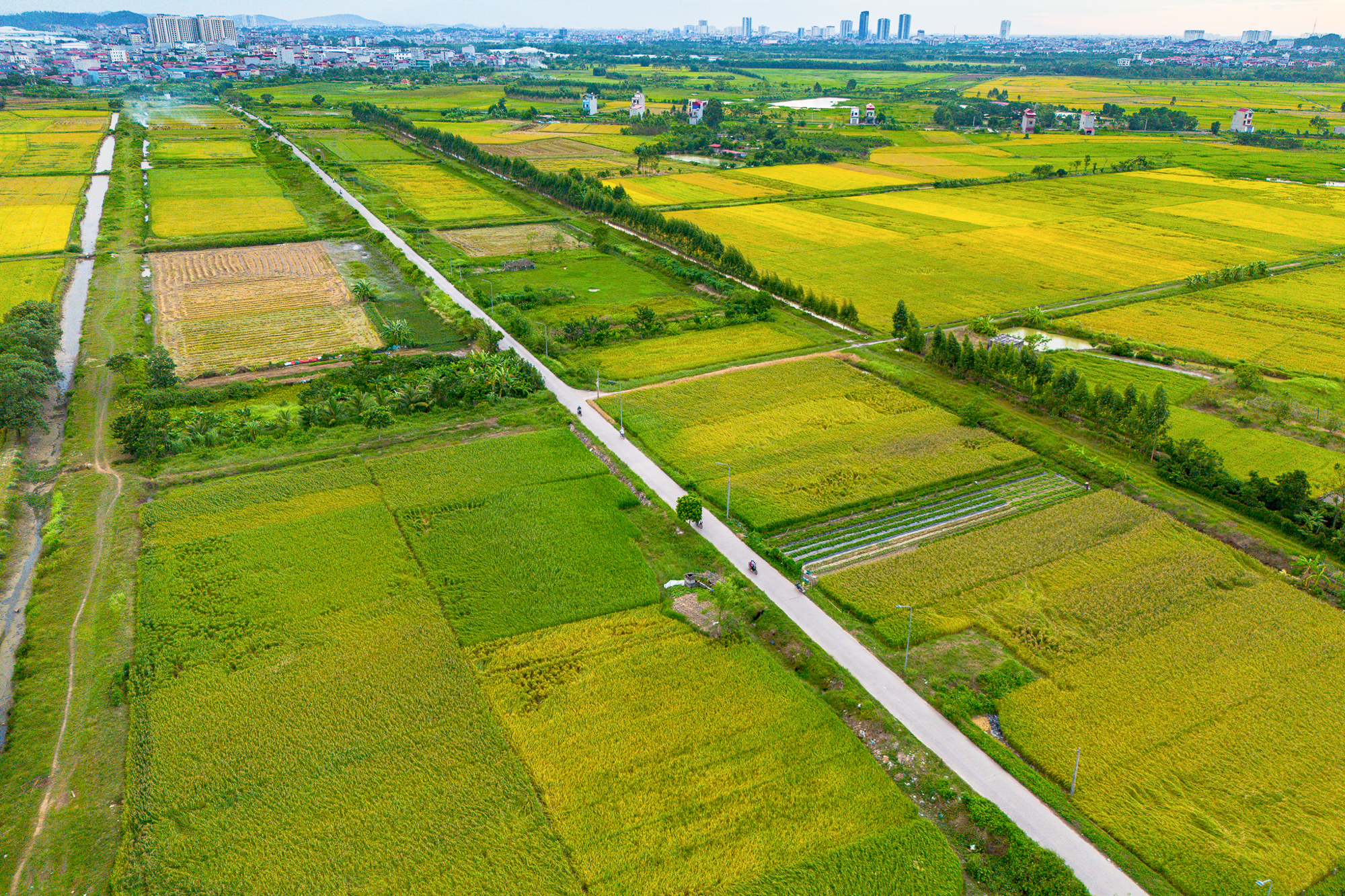 Toàn cảnh khu vực được đề xuất làm khu đô thị rộng gấp 3 lần quận Hoàn Kiếm tại tỉnh có loạt ông lớn Vingroup, Sun Group, T&T đang đầu tư - Ảnh 12. Toàn cảnh khu vực được đề xuất làm khu đô thị rộng gấp 3 lần quận Hoàn Kiếm tại tỉnh có loạt ông lớn Vingroup, Sun Group, T&T đang đầu tư - Ảnh 12.