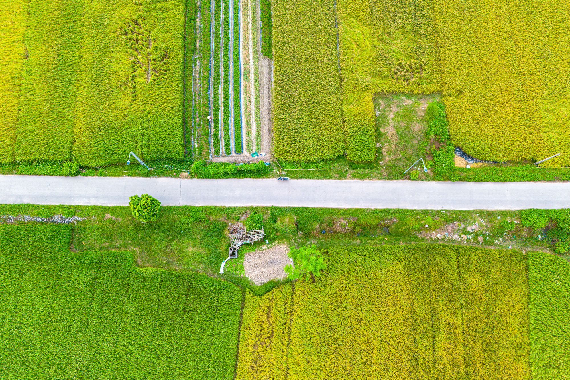 Toàn cảnh khu vực được đề xuất làm khu đô thị rộng gấp 3 lần quận Hoàn Kiếm tại tỉnh có loạt ông lớn Vingroup, Sun Group, T&T đang đầu tư - Ảnh 5. Toàn cảnh khu vực được đề xuất làm khu đô thị rộng gấp 3 lần quận Hoàn Kiếm tại tỉnh có loạt ông lớn Vingroup, Sun Group, T&T đang đầu tư - Ảnh 5.