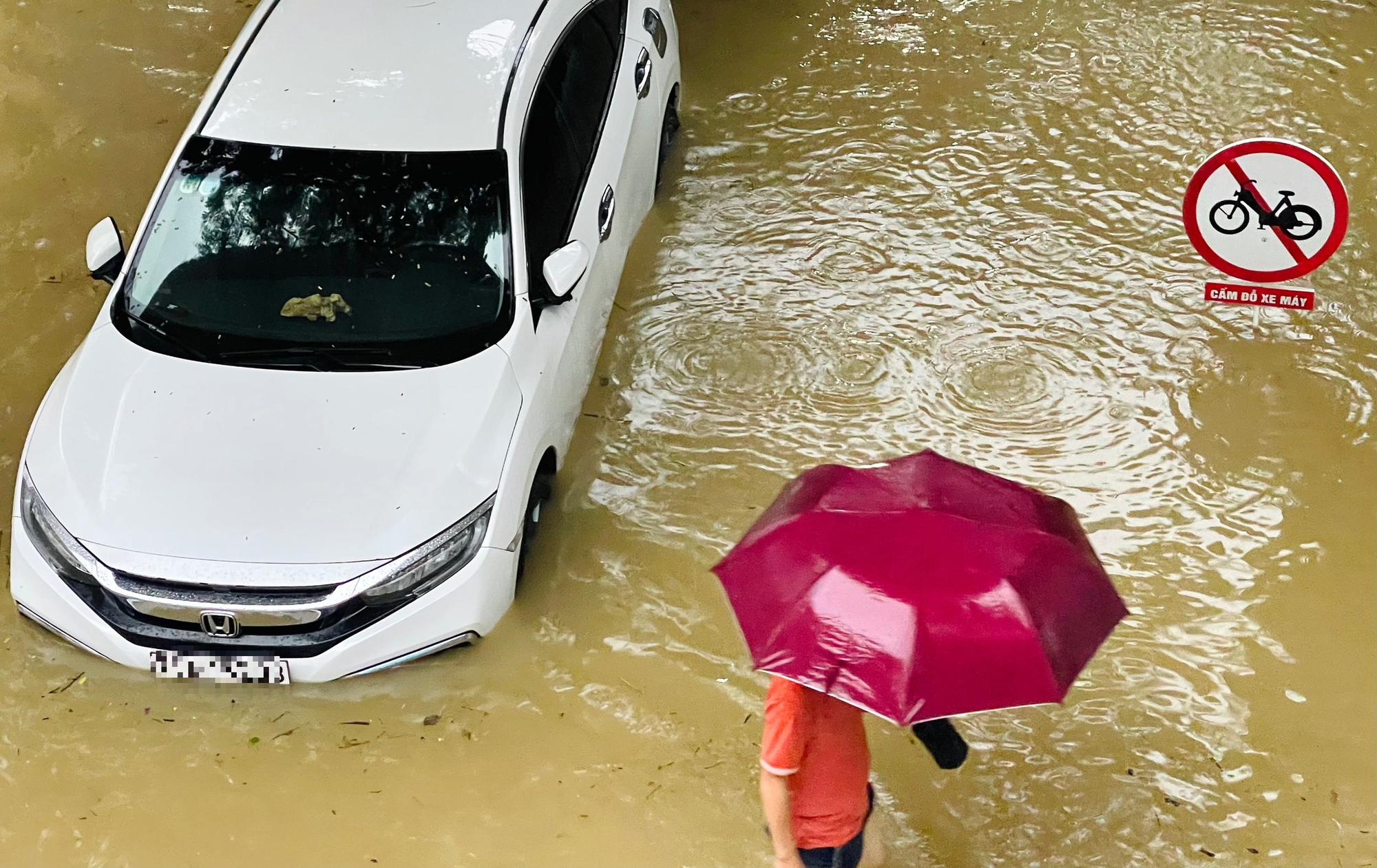 X&oacute;t xa h&igrave;nh ảnh gia quyến đưa quan t&agrave;i l&ecirc;n xe tải để chạy lũ- Ảnh 4.