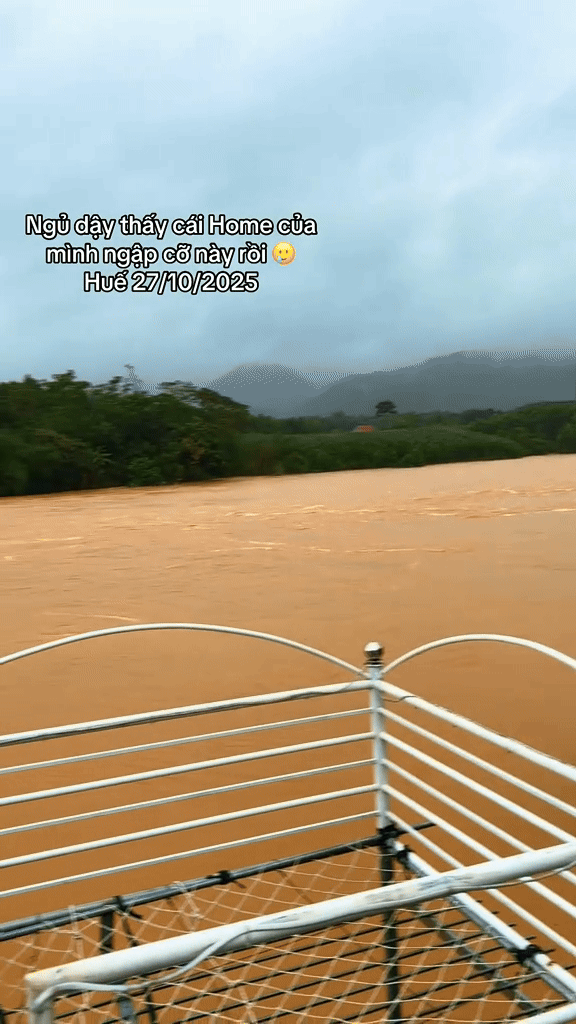 “Sau một trận lũ, mọi nỗ lực xem như về lại vạch xuất phát”: Tình trạng ở Huế hiện tại- Ảnh 9. “Sau một trận lũ, mọi nỗ lực xem như về lại vạch xuất phát”: Tình trạng ở Huế hiện tại- Ảnh 9.