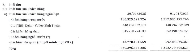 "Mắc kẹt" gần 600 tỷ đồng tại Novaland, SMC bán tài sản trả nợ còn bị truy thu thuế 26 tỷ, Ông trùm buôn thép lấy gì để hồi phục?- Ảnh 3. "Mắc kẹt" gần 600 tỷ đồng tại Novaland, SMC bán tài sản trả nợ còn bị truy thu thuế 26 tỷ, Ông trùm buôn thép lấy gì để hồi phục?- Ảnh 3.