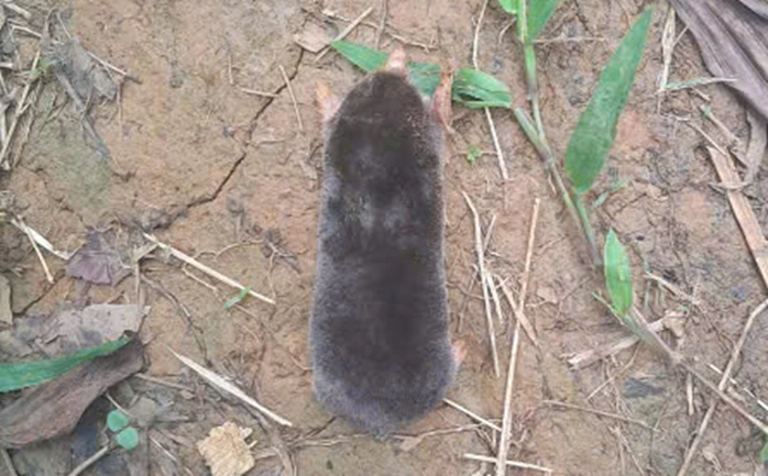 photo-1761637854401 photo-1761637854401