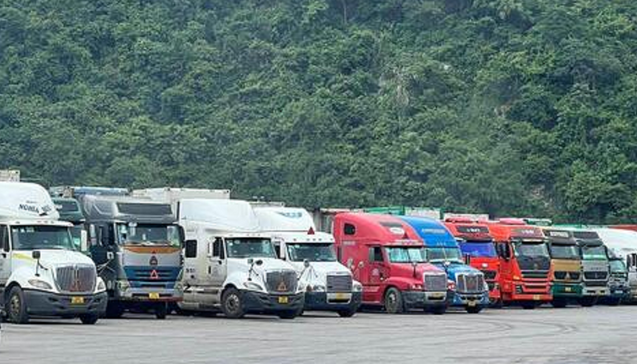 Hàng trăm container sầu riêng 'mắc kẹt' tại cửa khẩu Lạng Sơn- Ảnh 4. Hàng trăm container sầu riêng 'mắc kẹt' tại cửa khẩu Lạng Sơn- Ảnh 4.