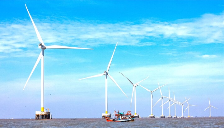 C&agrave; Mau kh&aacute;t vọng trở th&agrave;nh trung t&acirc;m năng lượng xanh của quốc gia- Ảnh 8.