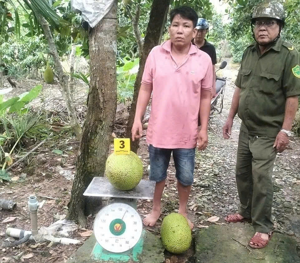 Vì sao người đàn ông bị khởi tố do trộm 2 trái mít ở Đồng Tháp?- Ảnh 1. Vì sao người đàn ông bị khởi tố do trộm 2 trái mít ở Đồng Tháp?- Ảnh 1.