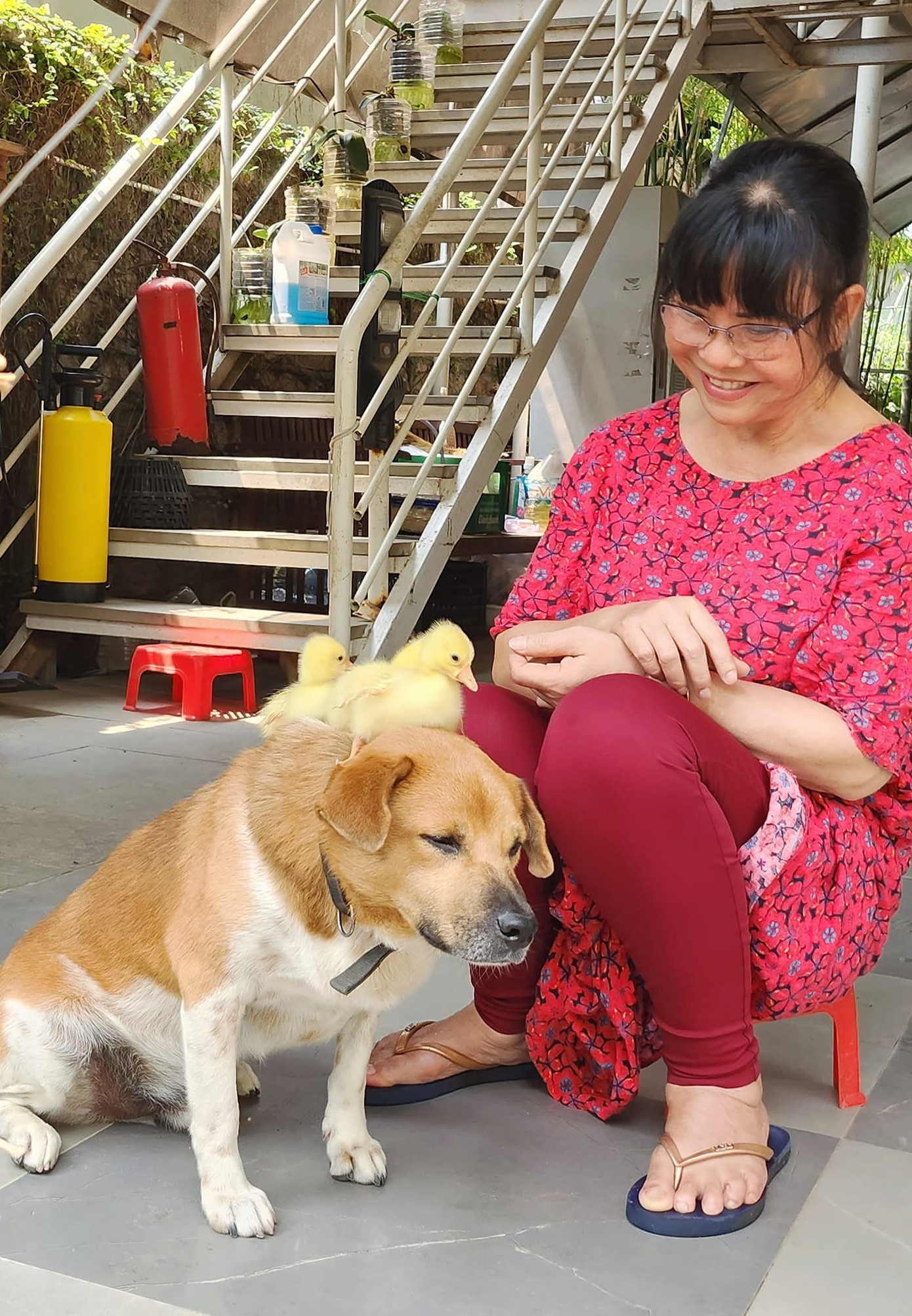 Cận cảnh ngôi nhà ca sĩ Ánh Tuyết ở Đà Nẵng ngập nặng- Ảnh 5.