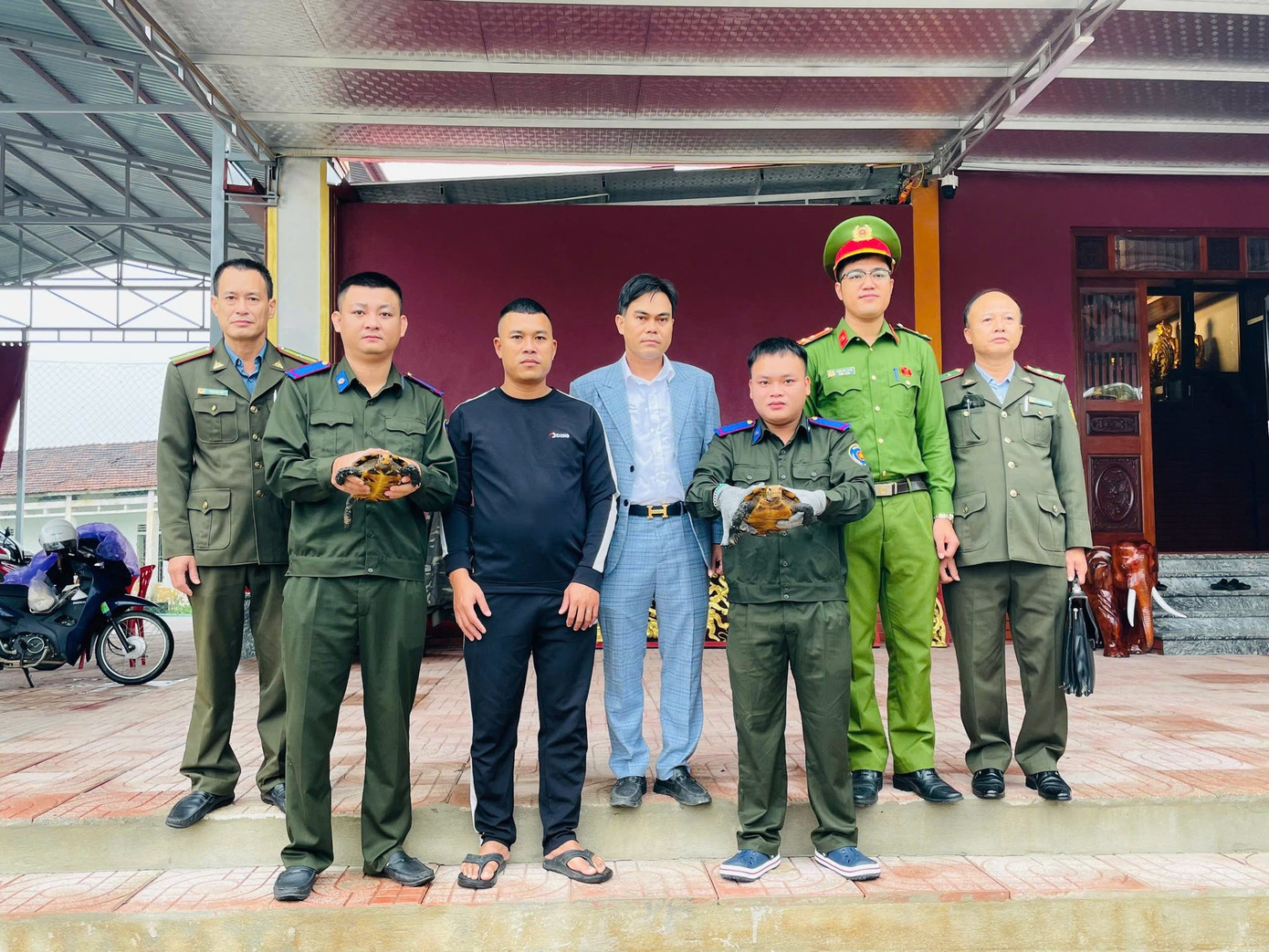 Hai cá thể rùa quý hiếm được phát hiện trong khuôn viên ngôi đền- Ảnh 1.