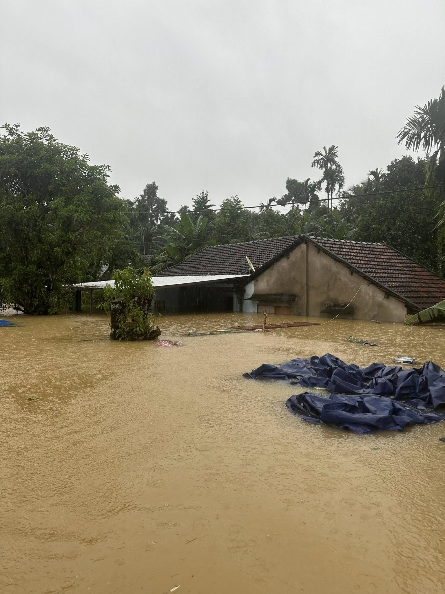 Lũ trên sông Vu Gia - Thu Bồn phá vỡ kỷ lục lịch sử năm 1964, Đà Nẵng đối mặt đại hồng thủy- Ảnh 3.