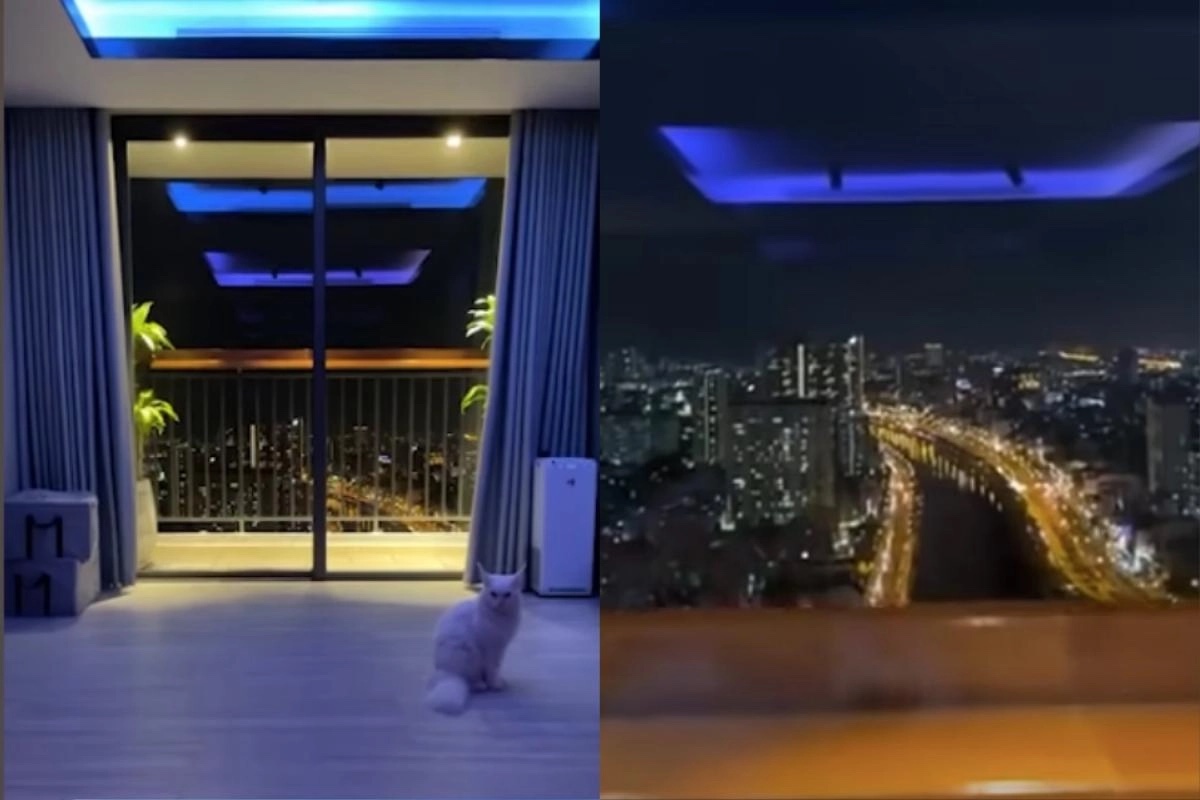 Bất động sản của Trấn Thành- Ảnh 1.