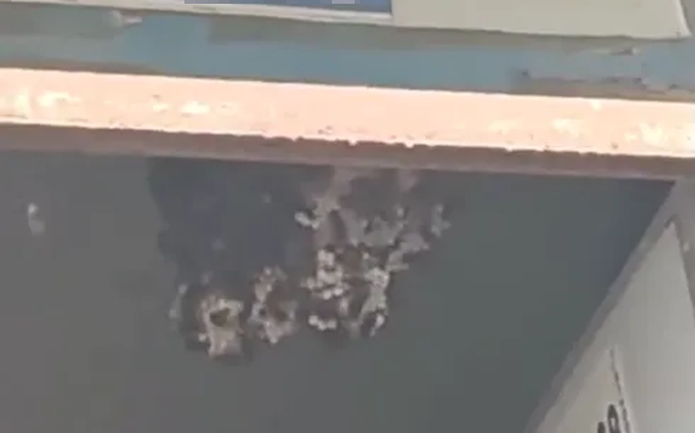 Mở cửa phòng, người đàn ông bị "hàng trăm mũi kim cắm khắp người"- Ảnh 1.