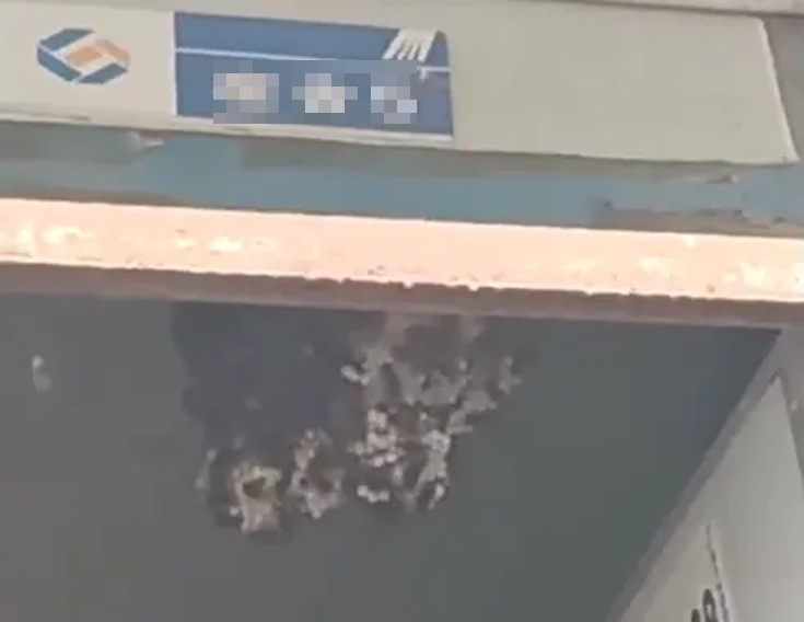 Mở cửa phòng, người đàn ông bị "hàng trăm mũi kim cắm khắp người"- Ảnh 2.