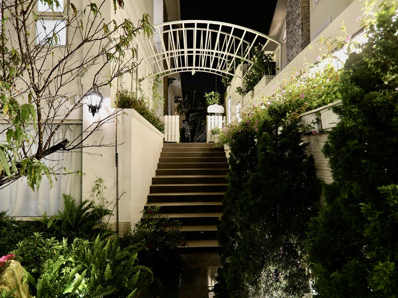 Nữ nghệ sĩ sở hữu biệt thự 30 tỷ ở Đà Lạt, chọn sống độc thân tới già, nuôi hơn 400 con chó hoang- Ảnh 8. Nữ nghệ sĩ sở hữu biệt thự 30 tỷ ở Đà Lạt, chọn sống độc thân tới già, nuôi hơn 400 con chó hoang- Ảnh 8.