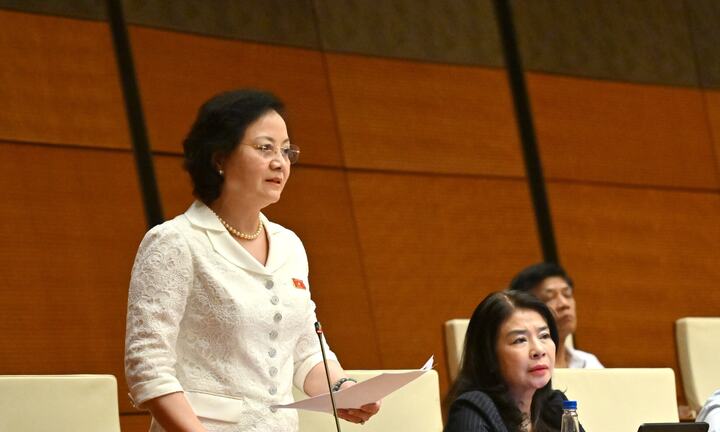 PTT Phạm Thị Thanh Trà: Cải cách tiền lương cần có lộ trình, bước đi phù hợp- Ảnh 1.