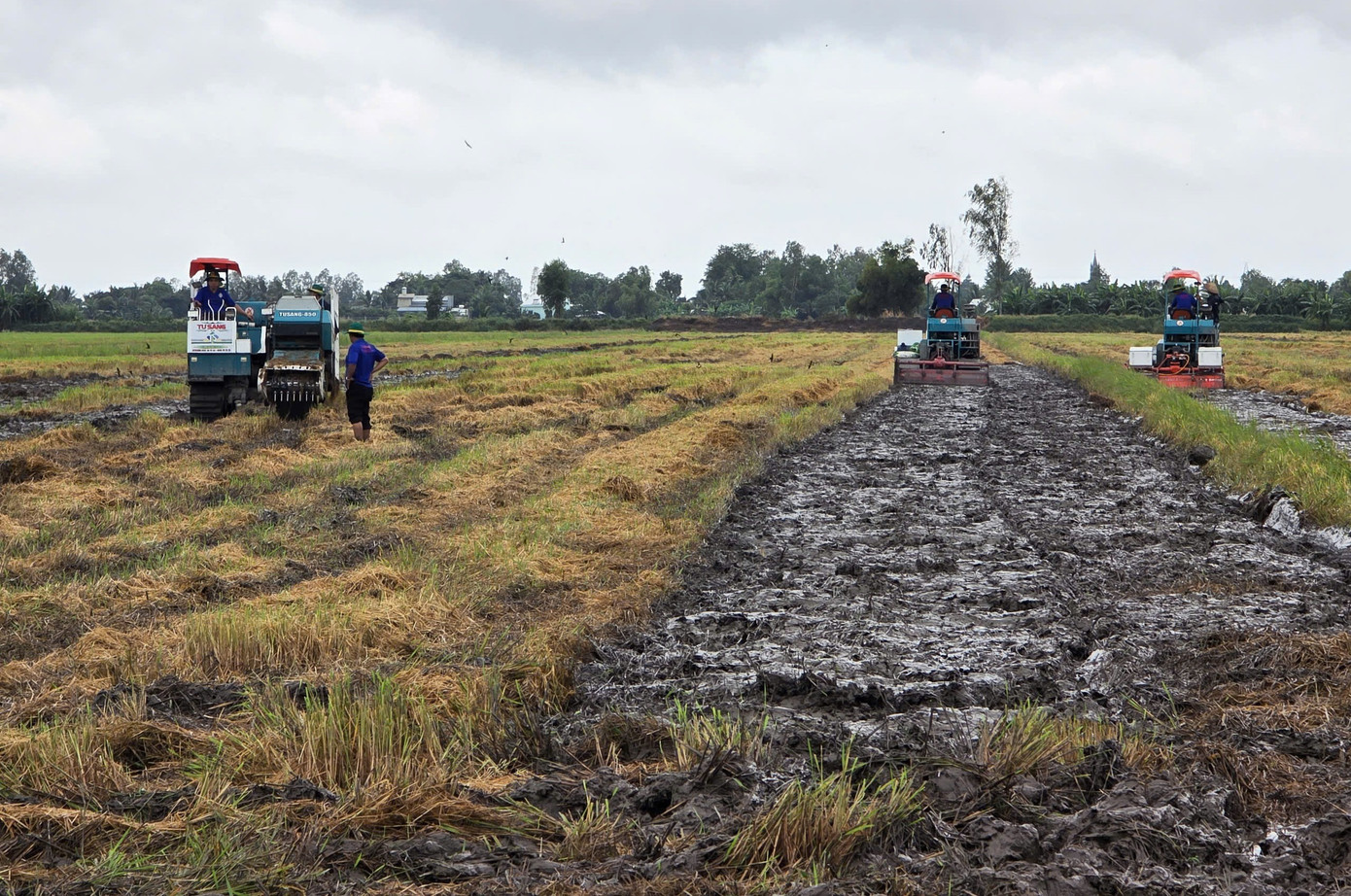 Xử lý rơm rạ sau thu hoạch để giảm ô nhiễm, phát triển nông nghiệp xanh- Ảnh 5.