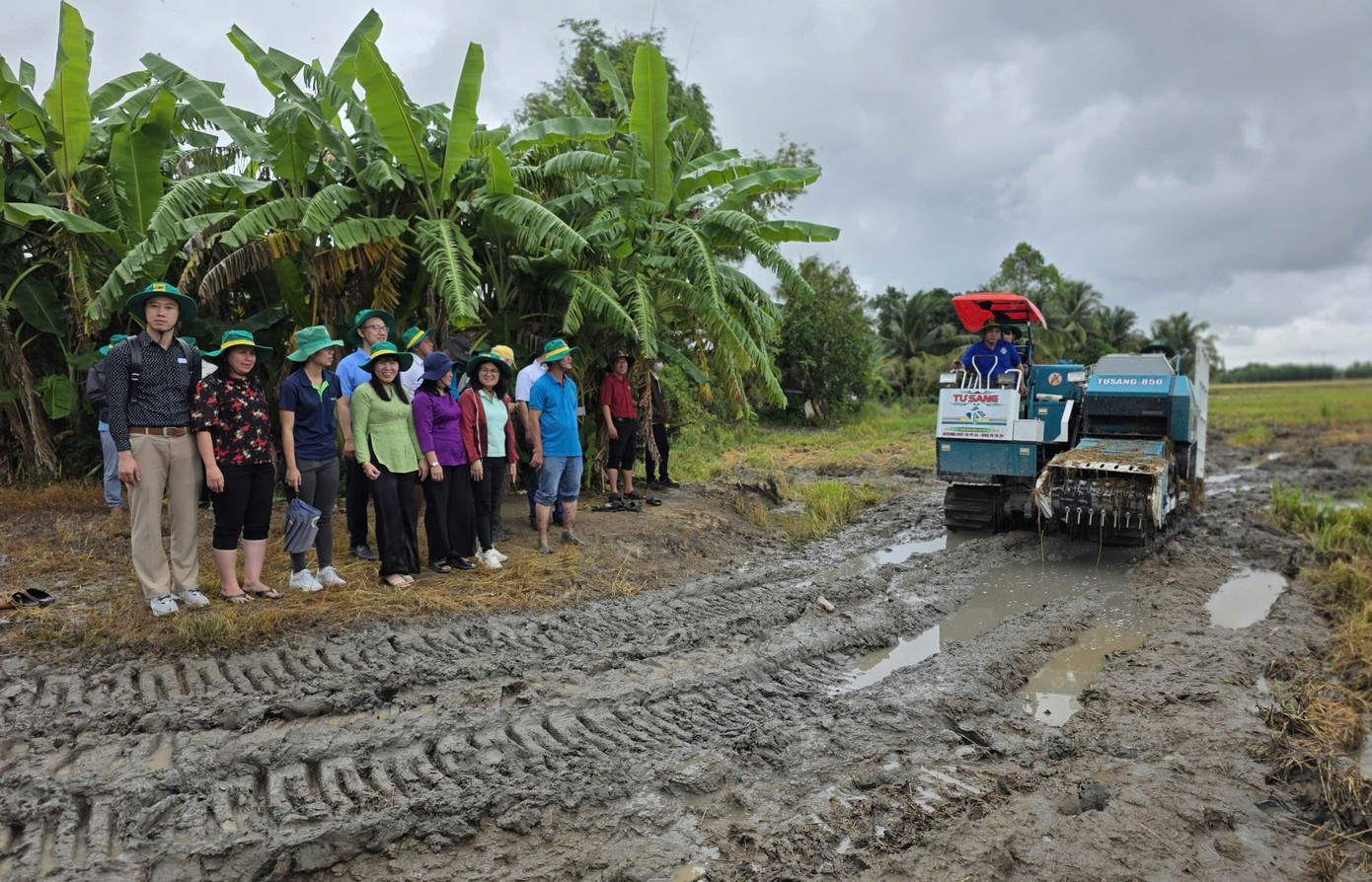 Xử lý rơm rạ sau thu hoạch để giảm ô nhiễm, phát triển nông nghiệp xanh- Ảnh 1.