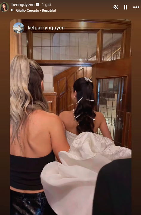 &Ecirc; k&iacute;p đứng sau đ&aacute;m cưới của Ti&ecirc;n Nguyễn l&agrave; thế lực 