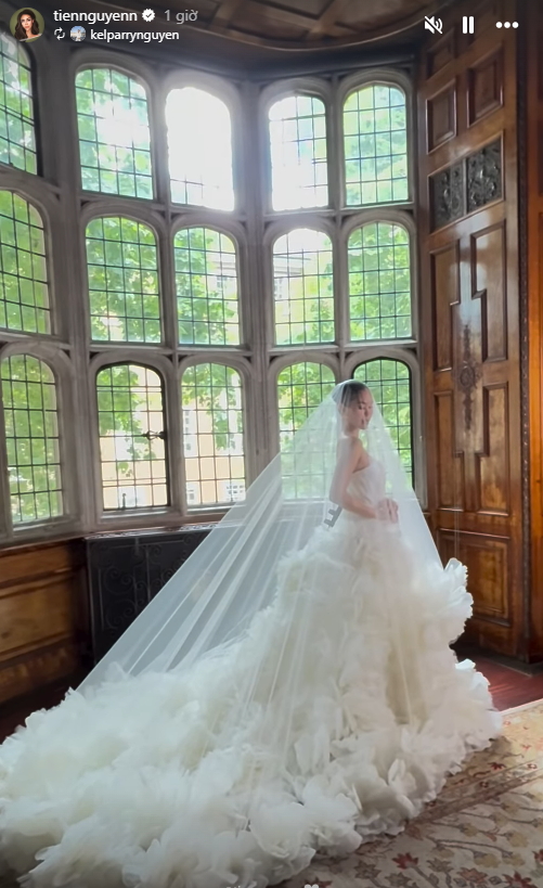 &Ecirc; k&iacute;p đứng sau đ&aacute;m cưới của Ti&ecirc;n Nguyễn l&agrave; thế lực 