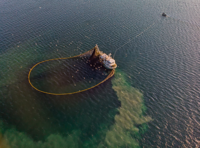 Cảnh báo nguy cơ từ thủy ngân trong đại dương- Ảnh 4. Cảnh báo nguy cơ từ thủy ngân trong đại dương- Ảnh 4.