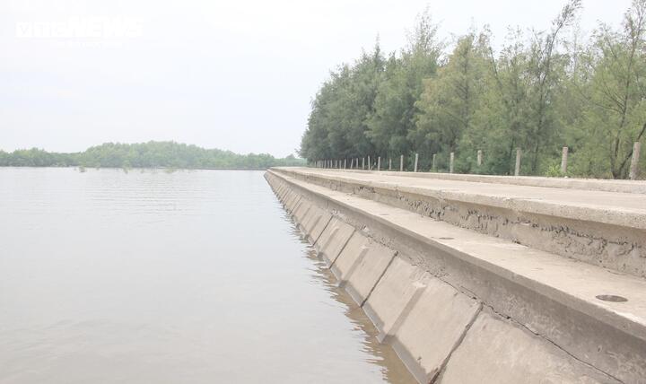 Hưng Y&ecirc;n vươn ra biển lớn để 'cất c&aacute;nh' trong kỷ nguy&ecirc;n vươn m&igrave;nh của d&acirc;n tộc- Ảnh 7.