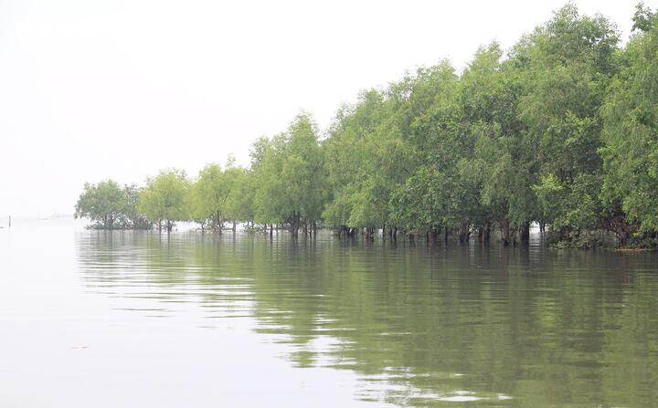 Hưng Y&ecirc;n vươn ra biển lớn để 'cất c&aacute;nh' trong kỷ nguy&ecirc;n vươn m&igrave;nh của d&acirc;n tộc- Ảnh 9.