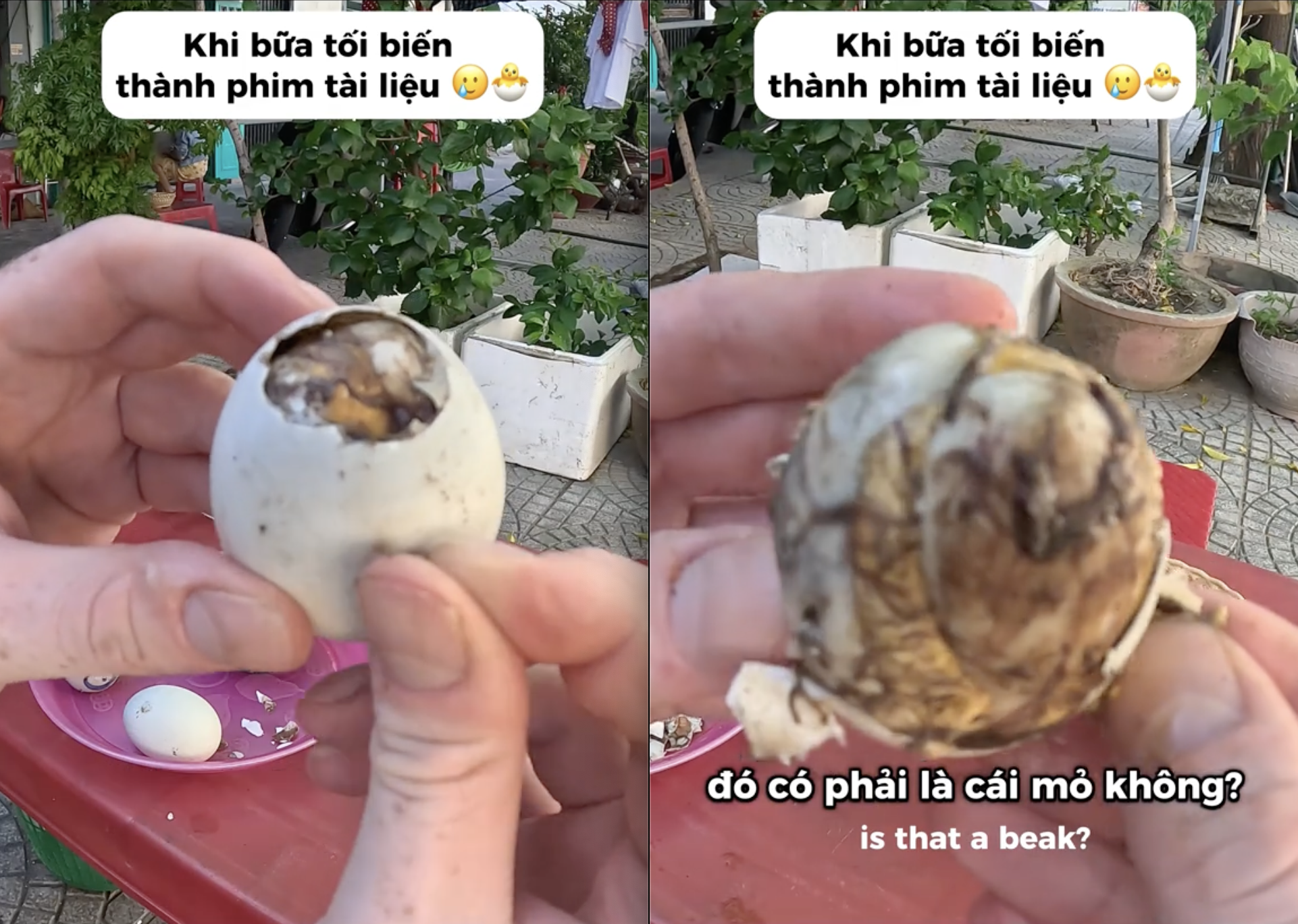 Khách Tây hết hồn khi ăn tối ở Việt Nam: 